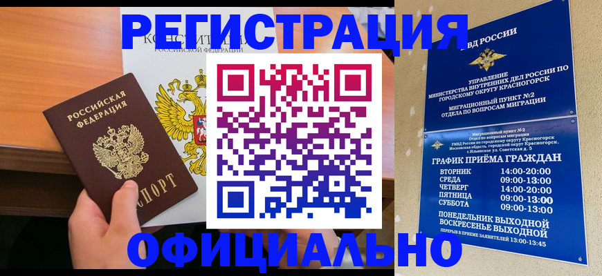 временная регистрация для всех в Курчалом